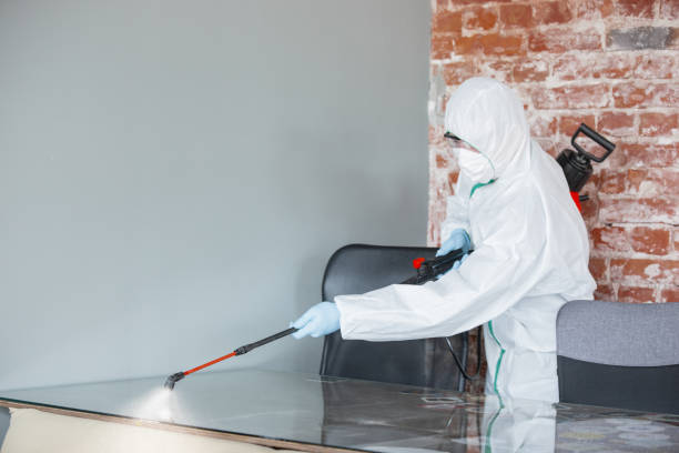 Mold Removal for HVAC Installations in South Oroville, CA